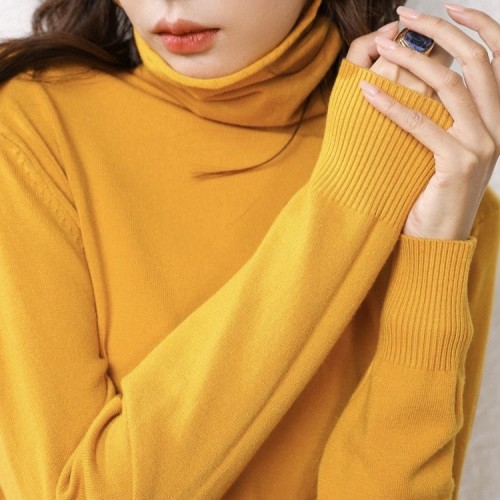 Turtle-neck Knitted Top