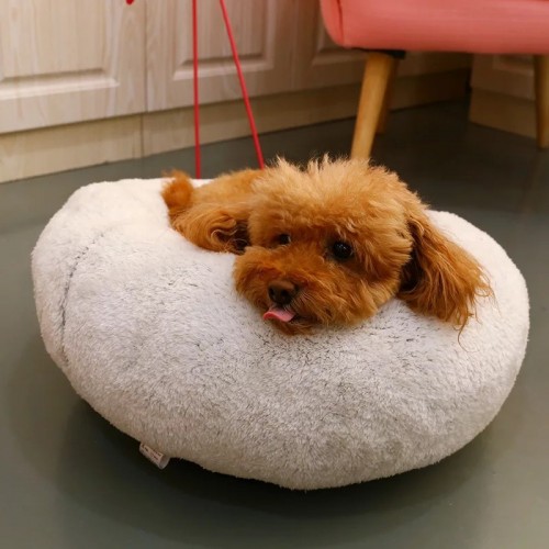 Doggie Bed