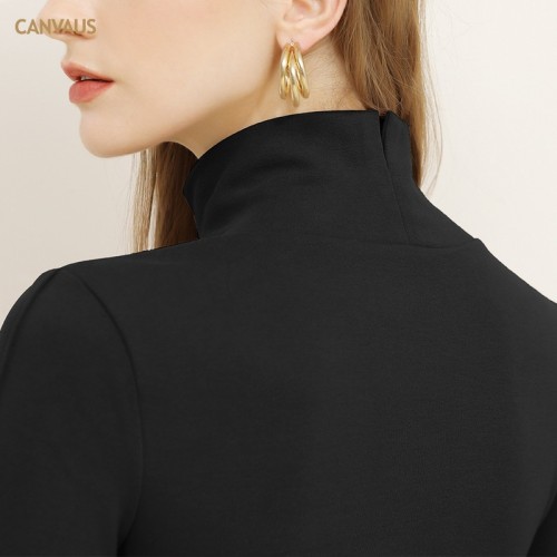 Turtle Neck Long Sleeves Fitted Top