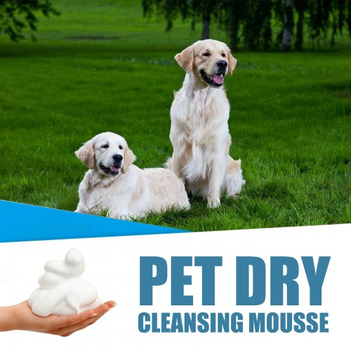 Yegbong Pet Dry Cleansing Mousse 60ml