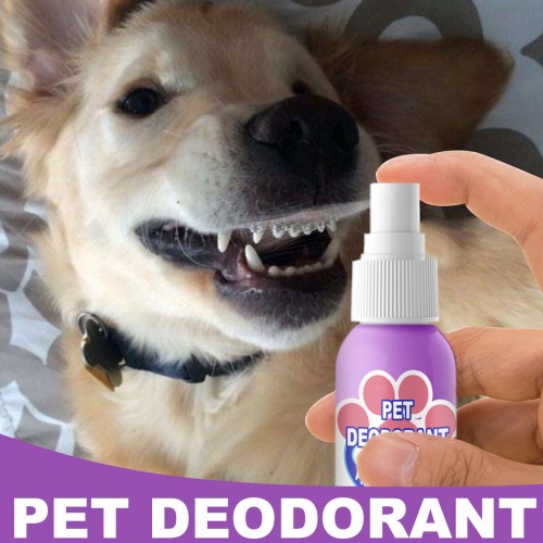 Yegbong Pet Oral Deodorant 60ml