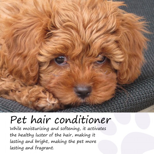 Yegbong Pet Hair Conditioner 50ml