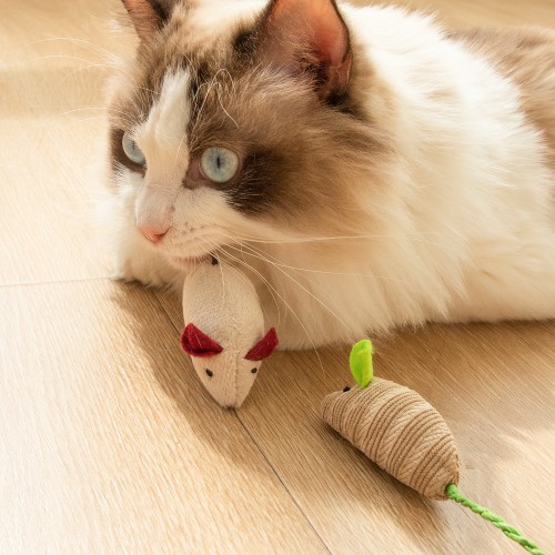 3pcs Durable Interactive Plush Cat Toy - Simulated Mouse Design for Endless Fun and Exercise