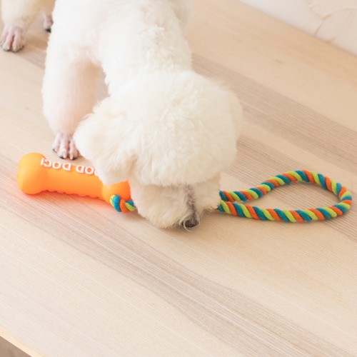 Dog Durable Chew Toy, Bone Shaped Dog Interactive Play Toy, Teeth Clean Training Toy 1PC