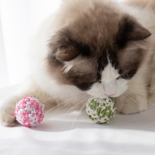 Cats Scratch Toy Balls PP Rope Cat Ball Toy For Indoor Cats Interactive Cat Chew Toys For Kitty Kitten 2pcs/set