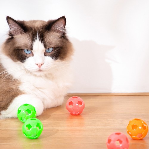 6pcs/set Colorful Plastic Bell Sound Ball For Cats And Dogs