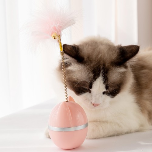 Tumbler Shaped Pet Toy, Cat Teaser With Feather, Interactive Toy