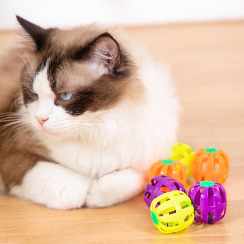 6pcs/set Hollow Out Bell Charm Ball Cat Toy Cat Interactive Self-entertainment Cat Pet Toys