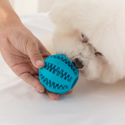 Dog Ball Toy, Dog Food-Leaking Toy, Rubber Chew Toys For Dog, Molar Toy, Pet Interactive Toy