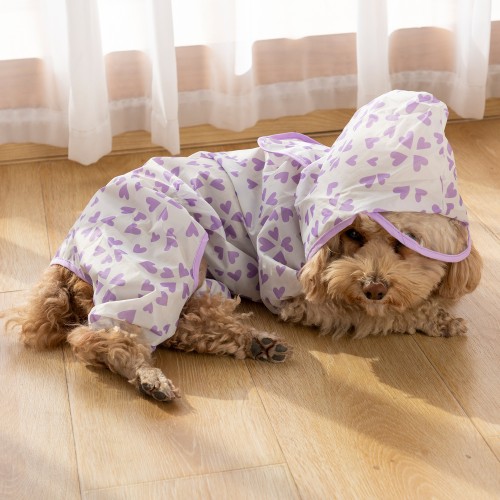 Waterproof Pet Raincoat for Small and Medium Dogs - Cute and Functional Outdoor Dog Apparel