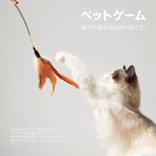 Interactive Cat Toy: Sucker Feather Bird with Bell & Teaser Wand - Perfect for Kitten Playtime