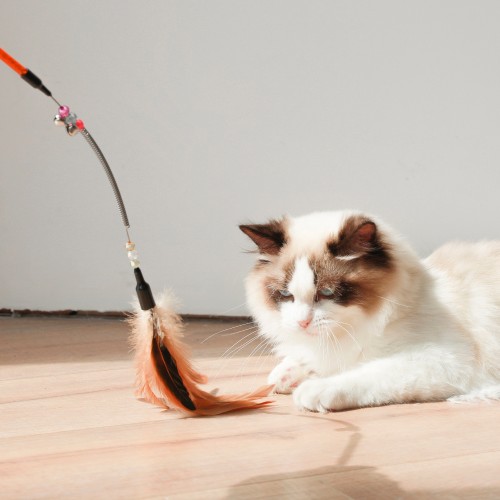 Interactive Cat Toy: Sucker Feather Bird with Bell & Teaser Wand - Perfect for Kitten Playtime