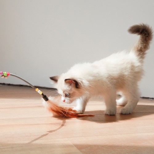 Interactive Cat Toy: Sucker Feather Bird with Bell & Teaser Wand - Perfect for Kitten Playtime