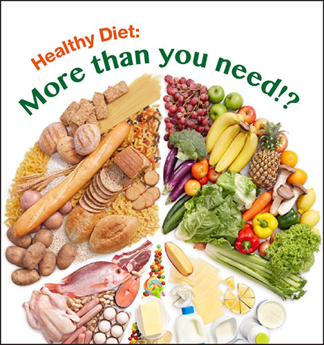 Healthy Diet: More than you need!?