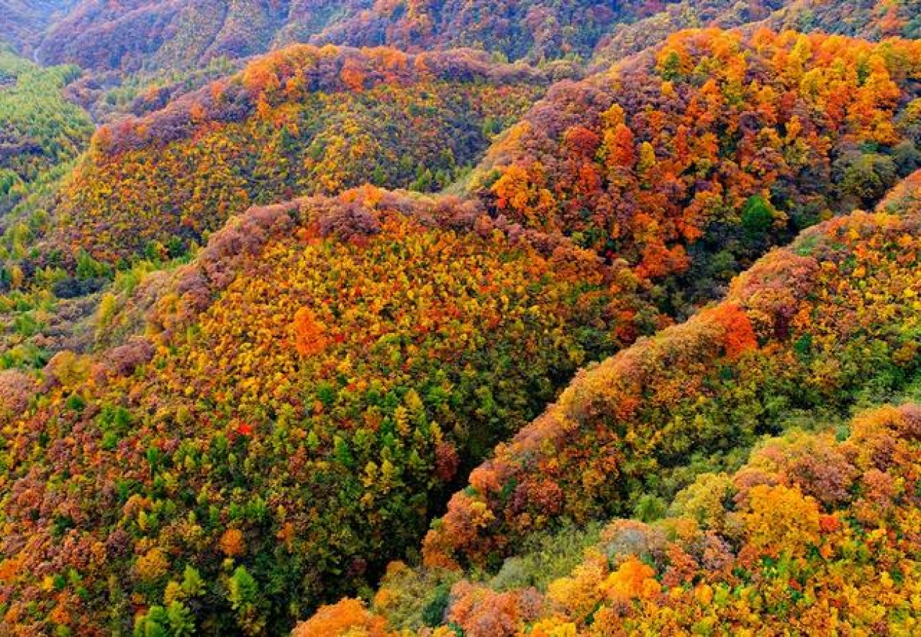 四川隐世嘅红叶仙景